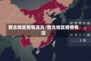 西北地区疫情实况/西北地区疫情情况