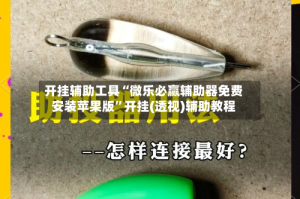 开挂辅助工具“微乐必赢辅助器免费安装苹果版”开挂(透视)辅助教程