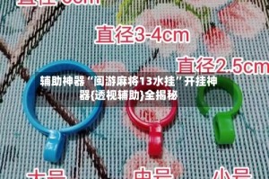 辅助神器“闽游麻将13水挂”开挂神器{透视辅助}全揭秘