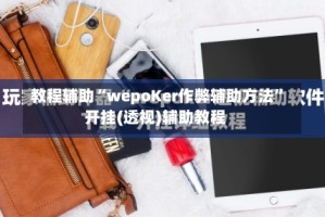 教程辅助“wepoKer作弊辅助方法”开挂(透视)辅助教程