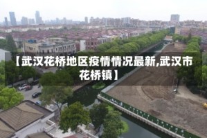 【武汉花桥地区疫情情况最新,武汉市花桥镇】