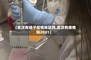 【武汉有啥子疫情地区吗,武汉有疫情吗2021】