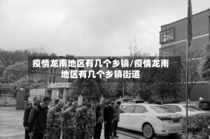 疫情龙南地区有几个乡镇/疫情龙南地区有几个乡镇街道