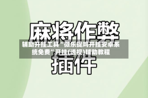 辅助开挂工具“微乐捉鸡开挂安卓系统免费”开挂(透视)辅助教程