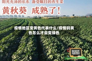 疫情地区变黄色代表什么/疫情码黄色怎么才会变绿色