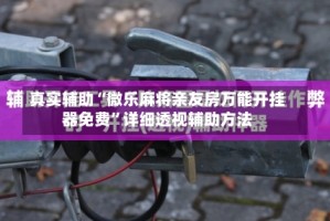 真实辅助“微乐麻将亲友房万能开挂器免费”详细透视辅助方法