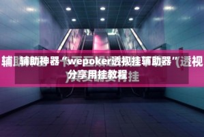 辅助神器“wepoker透视挂辅助器”分享用挂教程