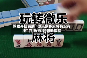 教程开挂辅助“微乐家乡麻将有没有挂”开挂(透视)辅助教程