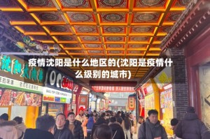 疫情沈阳是什么地区的(沈阳是疫情什么级别的城市)
