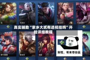 真实辅助“家乡大贰有透视挂吗”开挂详细教程