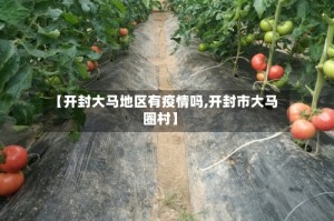 【开封大马地区有疫情吗,开封市大马圈村】