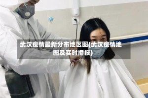 武汉疫情最新分布地区图(武汉疫情地图及实时播报)