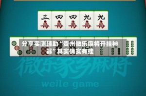 分享实测辅助“贵州微乐麻将开挂神器”其实确实有挂