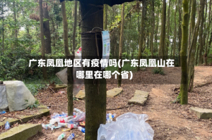 广东凤凰地区有疫情吗(广东凤凰山在哪里在哪个省)