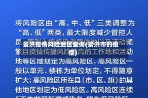 景洪疫情风险地区查询(景洪市的疫情)