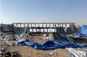 为啥国外没有疫情地区呢(为什么没有国外疫情数据)