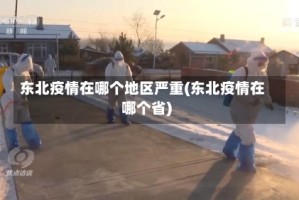 东北疫情在哪个地区严重(东北疫情在哪个省)