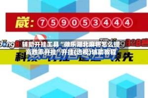 辅助开挂工具“微乐湖北麻将怎么提高胜率开挂”开挂(透视)辅助教程