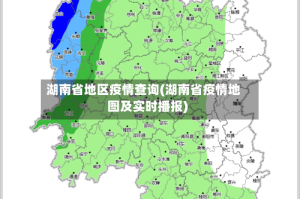湖南省地区疫情查询(湖南省疫情地图及实时播报)