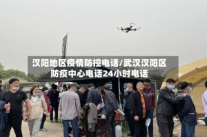 汉阳地区疫情防控电话/武汉汉阳区防疫中心电话24小时电话