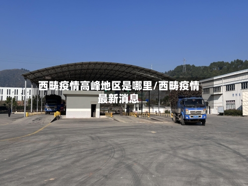 西畴疫情高峰地区是哪里/西畴疫情最新消息-第1张图片