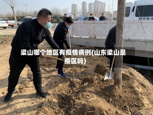 粱山哪个地区有疫情病例(山东梁山是疫区吗)-第2张图片