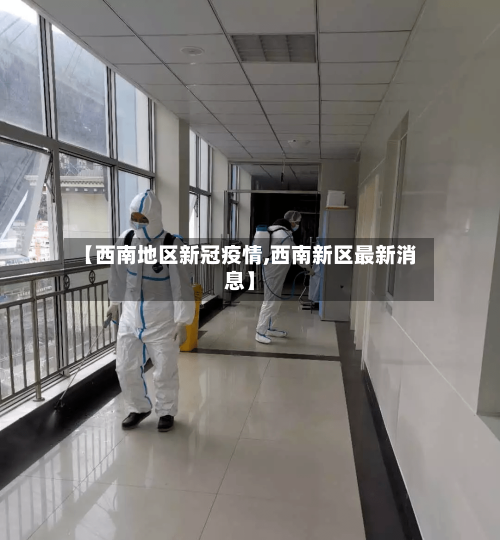 【西南地区新冠疫情,西南新区最新消息】-第3张图片