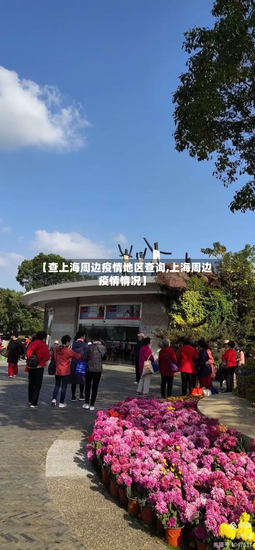 【查上海周边疫情地区查询,上海周边疫情情况】-第3张图片