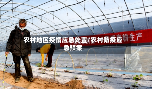 农村地区疫情应急处置/农村防疫应急预案-第2张图片