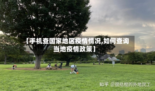 【手机查国家地区疫情情况,如何查询当地疫情政策】-第2张图片