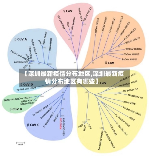 【深圳最新疫情分布地区,深圳最新疫情分布地区有哪些】-第2张图片