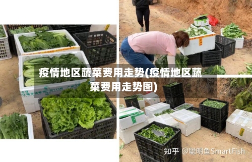 疫情地区蔬菜费用走势(疫情地区蔬菜费用走势图)-第1张图片