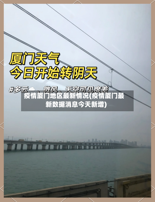 疫情厦门地区最新情况(疫情厦门最新数据消息今天新增)-第1张图片