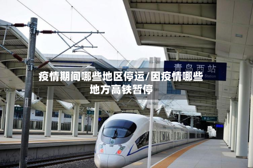 疫情期间哪些地区停运/因疫情哪些地方高铁暂停-第2张图片