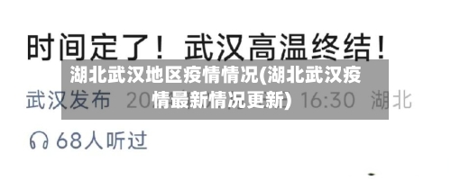 湖北武汉地区疫情情况(湖北武汉疫情最新情况更新)-第1张图片