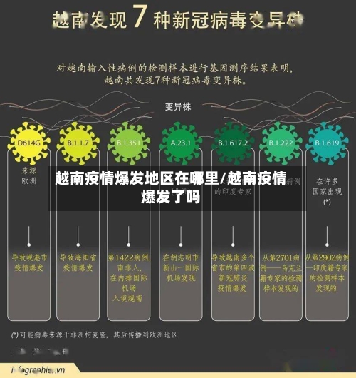 越南疫情爆发地区在哪里/越南疫情爆发了吗-第3张图片