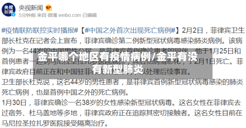 金平哪个地区有疫情病例/金平有没有新型肺炎-第2张图片