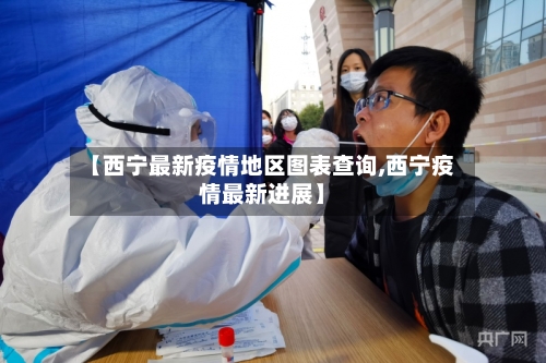 【西宁最新疫情地区图表查询,西宁疫情最新进展】-第3张图片