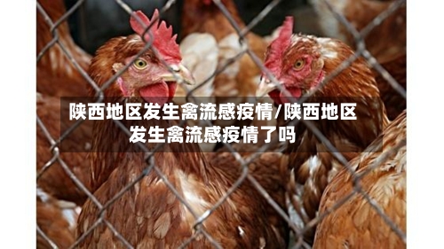 陕西地区发生禽流感疫情/陕西地区发生禽流感疫情了吗-第1张图片