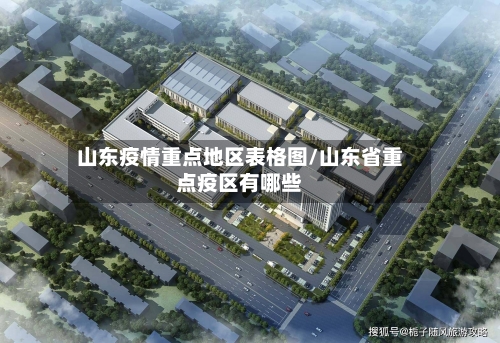 山东疫情重点地区表格图/山东省重点疫区有哪些-第3张图片