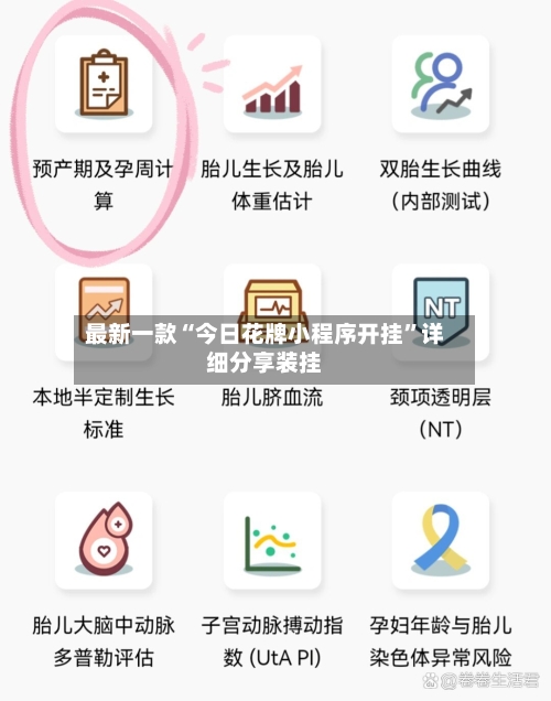 最新一款“今日花牌小程序开挂”详细分享装挂-第2张图片