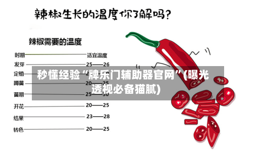 秒懂经验“牌乐门辅助器官网”(曝光透视必备猫腻)-第3张图片