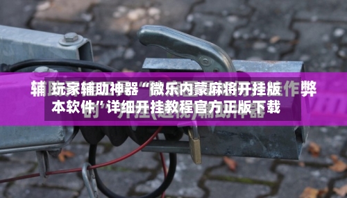 玩家辅助神器“微乐内蒙麻将开挂版本软件”详细开挂教程官方正版下载-第1张图片