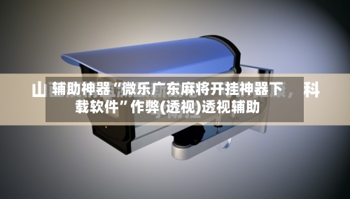 辅助神器“微乐广东麻将开挂神器下载软件	”作弊(透视)透视辅助-第2张图片