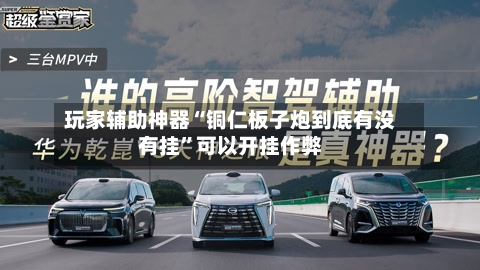 玩家辅助神器“铜仁板子炮到底有没有挂”可以开挂作弊-第2张图片