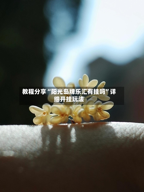 教程分享“阳光岛牌乐汇有挂吗”详细开挂玩法-第1张图片