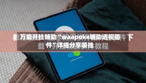 万能开挂辅助“waapoke辅助透视插件”详细分享装挂-第3张图片