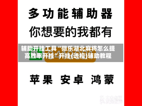 辅助开挂工具“微乐湖北麻将怎么提高胜率开挂	”开挂(透视)辅助教程-第2张图片