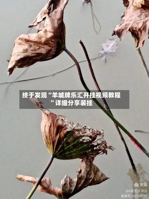 终于发现“羊城牌乐汇开挂视频教程”详细分享装挂-第1张图片