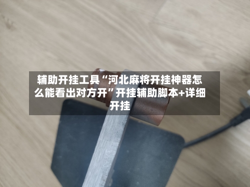 辅助开挂工具“河北麻将开挂神器怎么能看出对方开”开挂辅助脚本+详细开挂-第2张图片